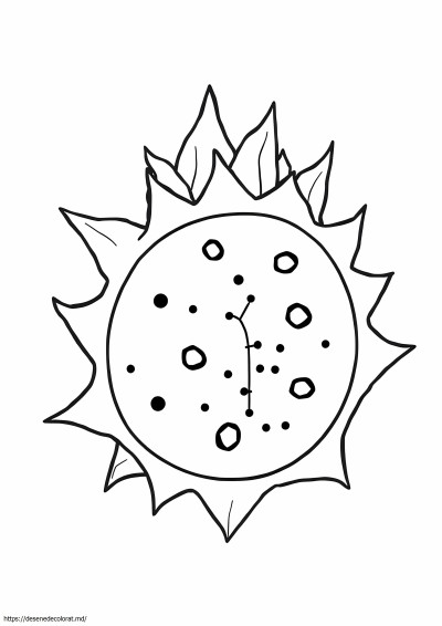 Dragonfruit