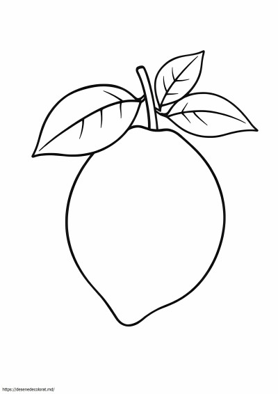 Fructe lamaie