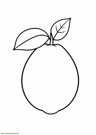 Guava