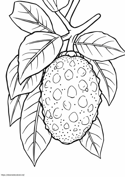 Fructe de iac