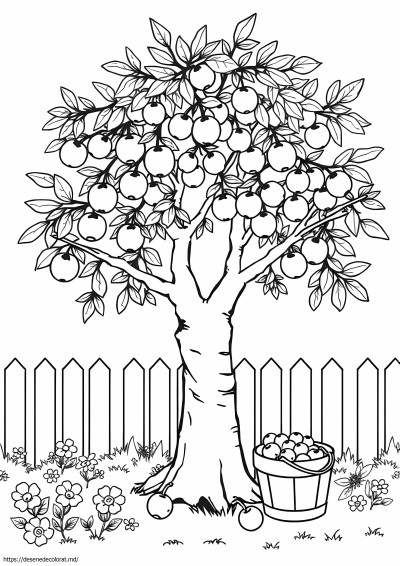 Arbore de kumquat