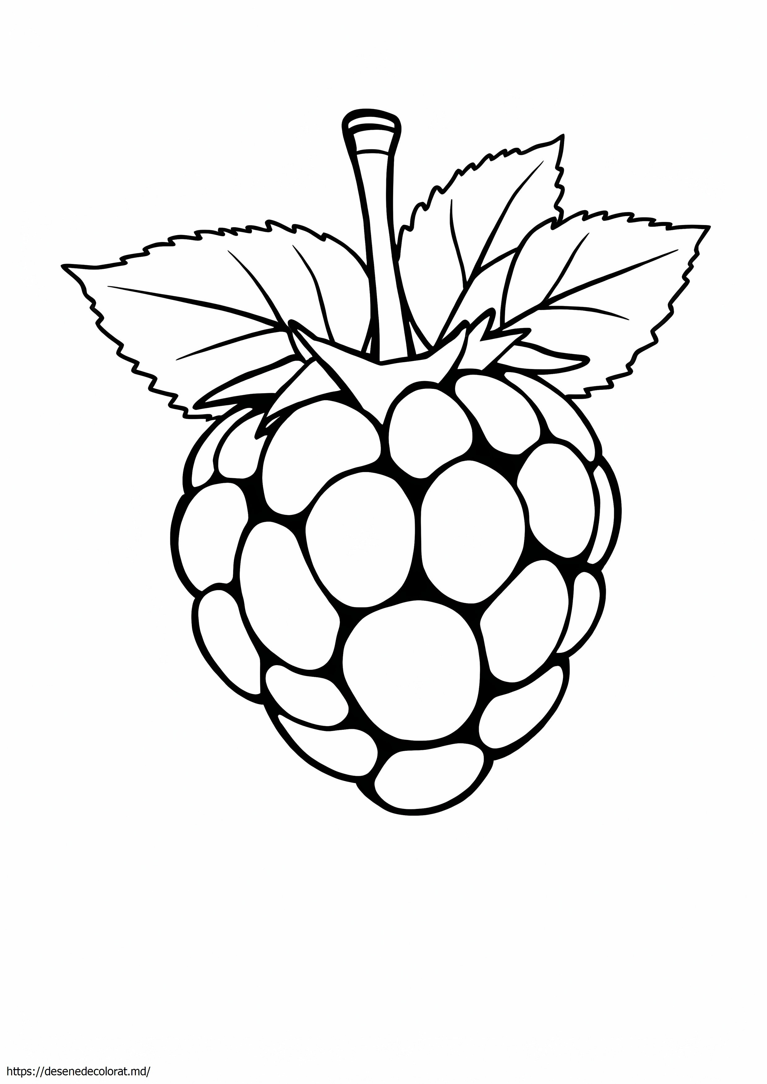 Zmeură