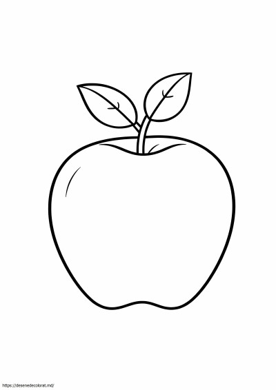 Fructe simple, usoare
