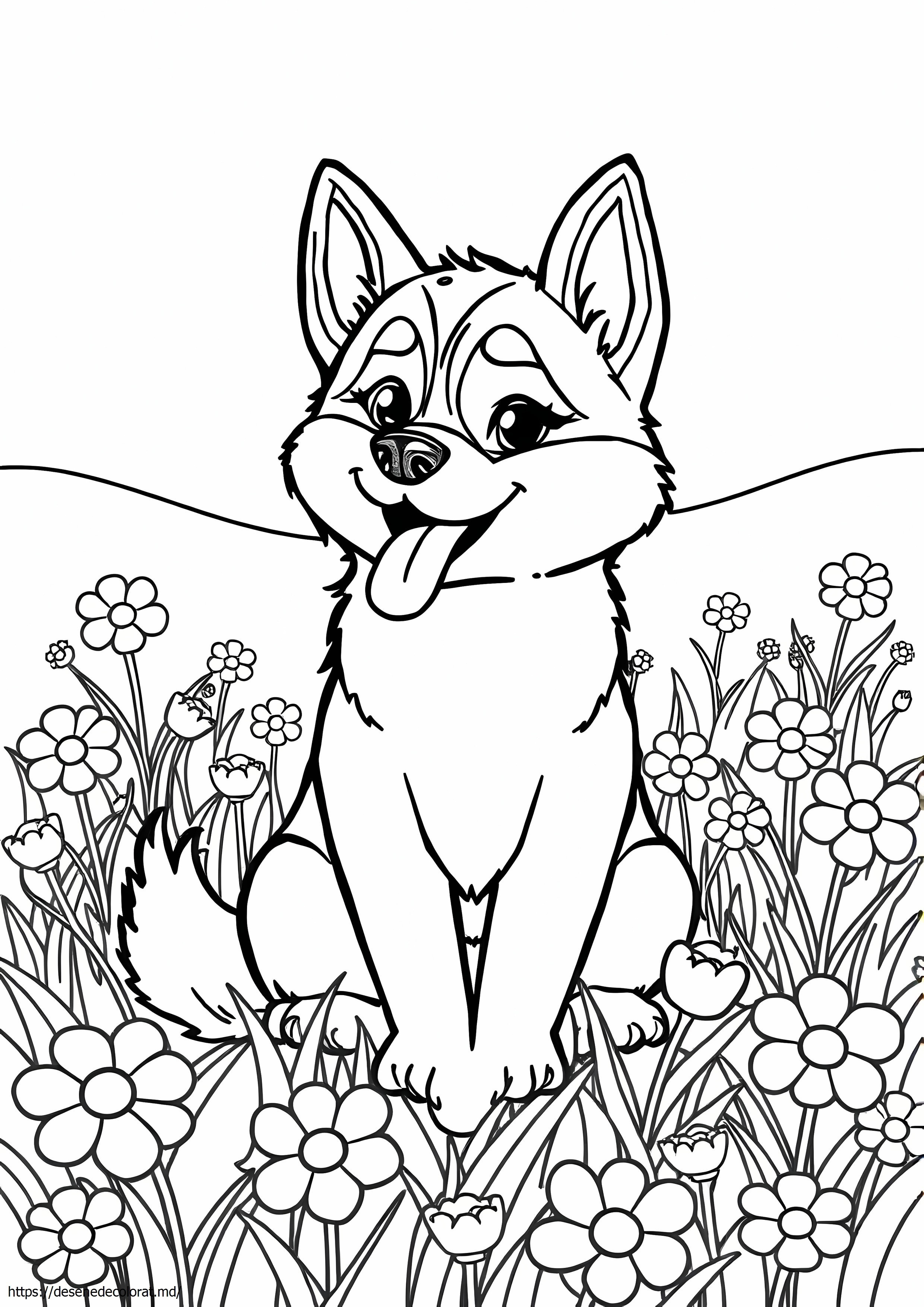 Câine drăguț husky