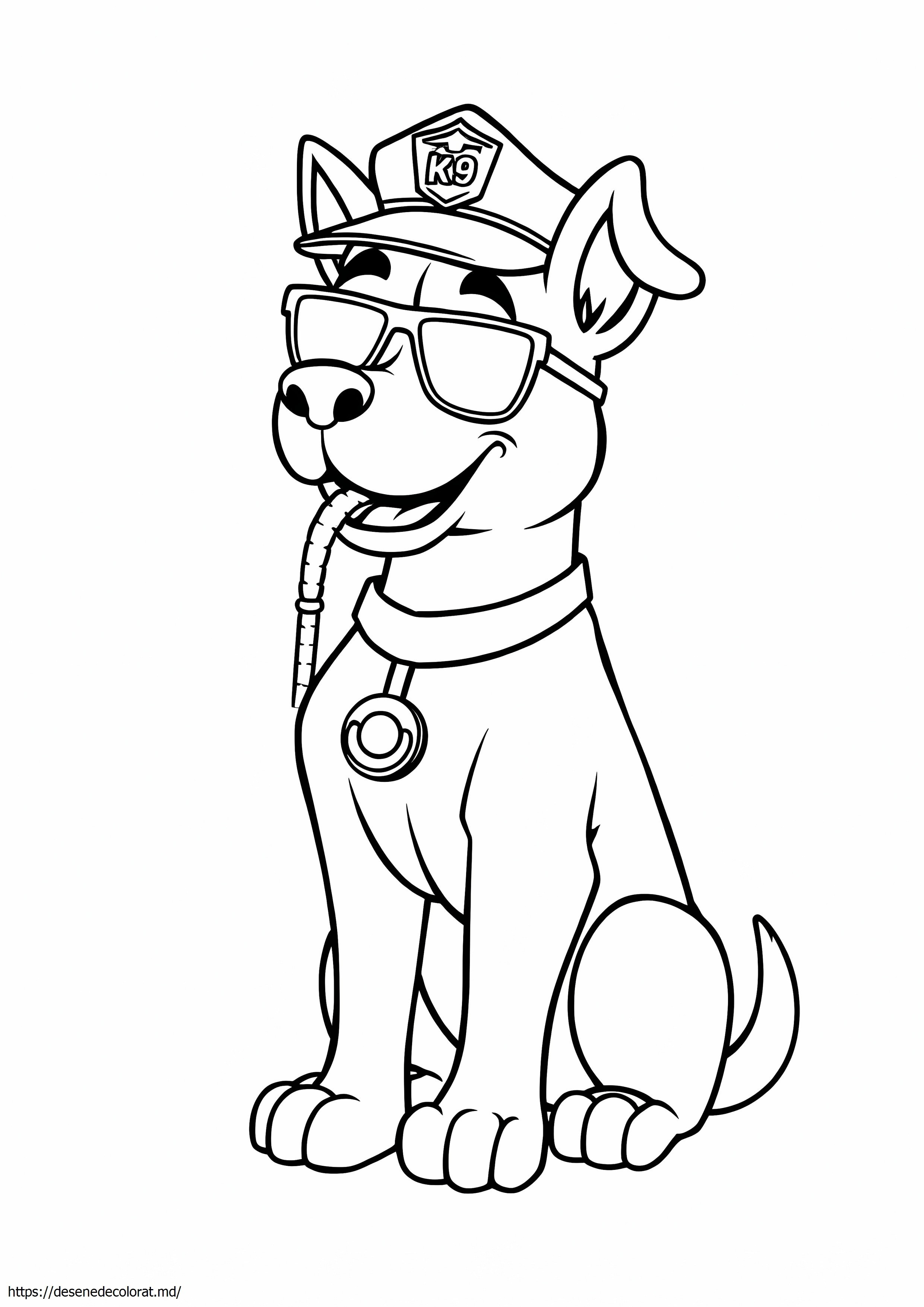 K9 câine