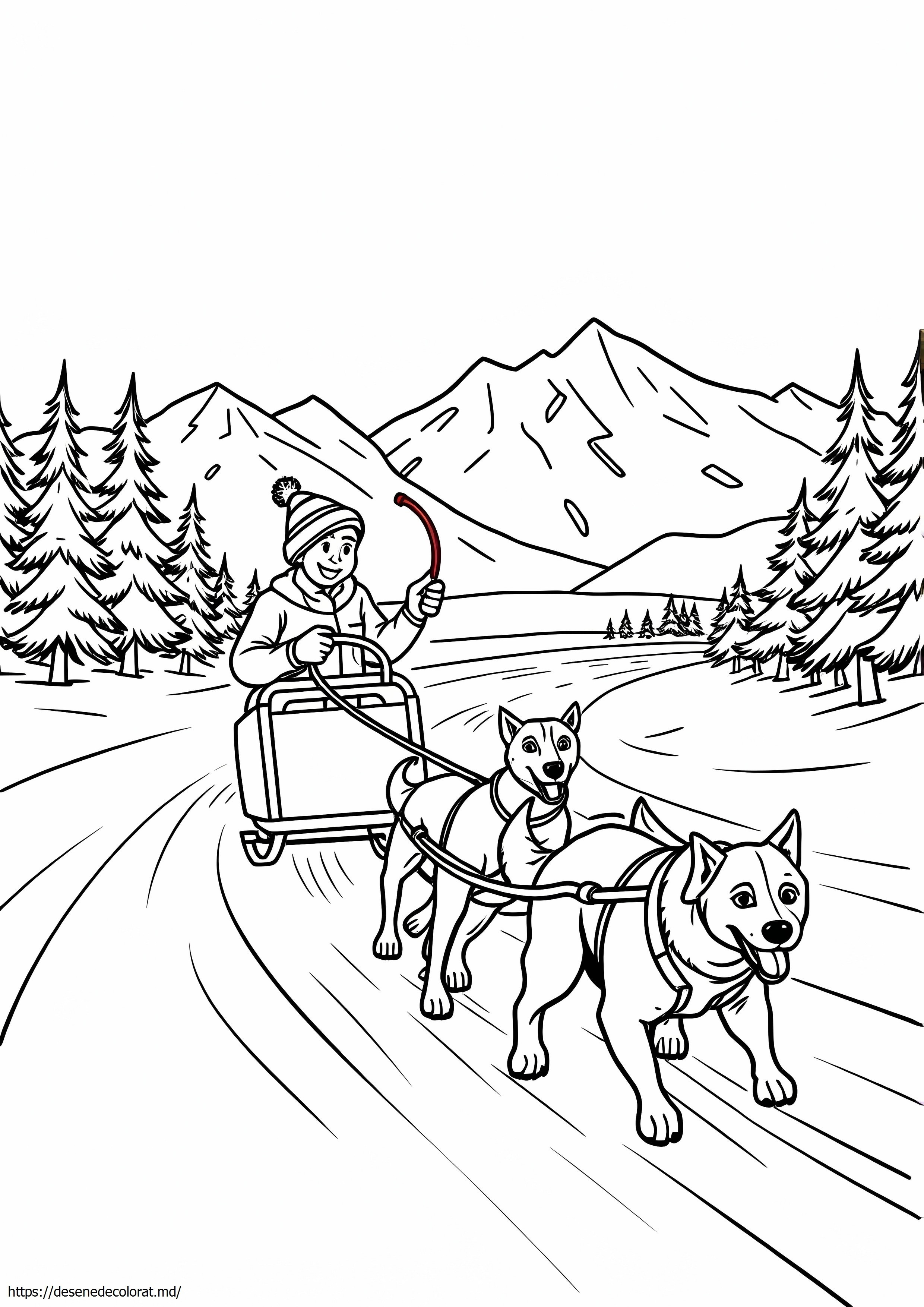 Iditarod