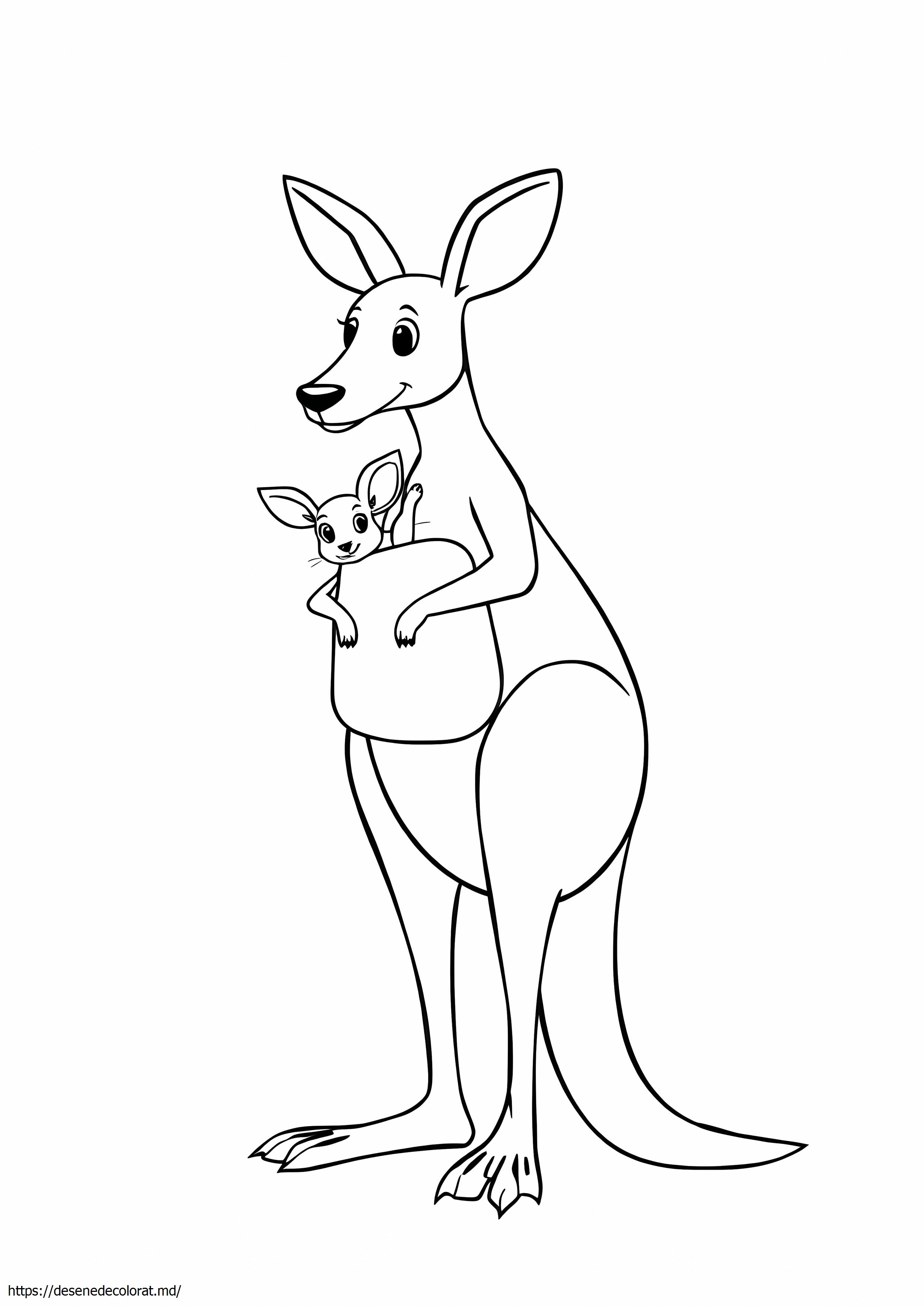 Cangur și joey