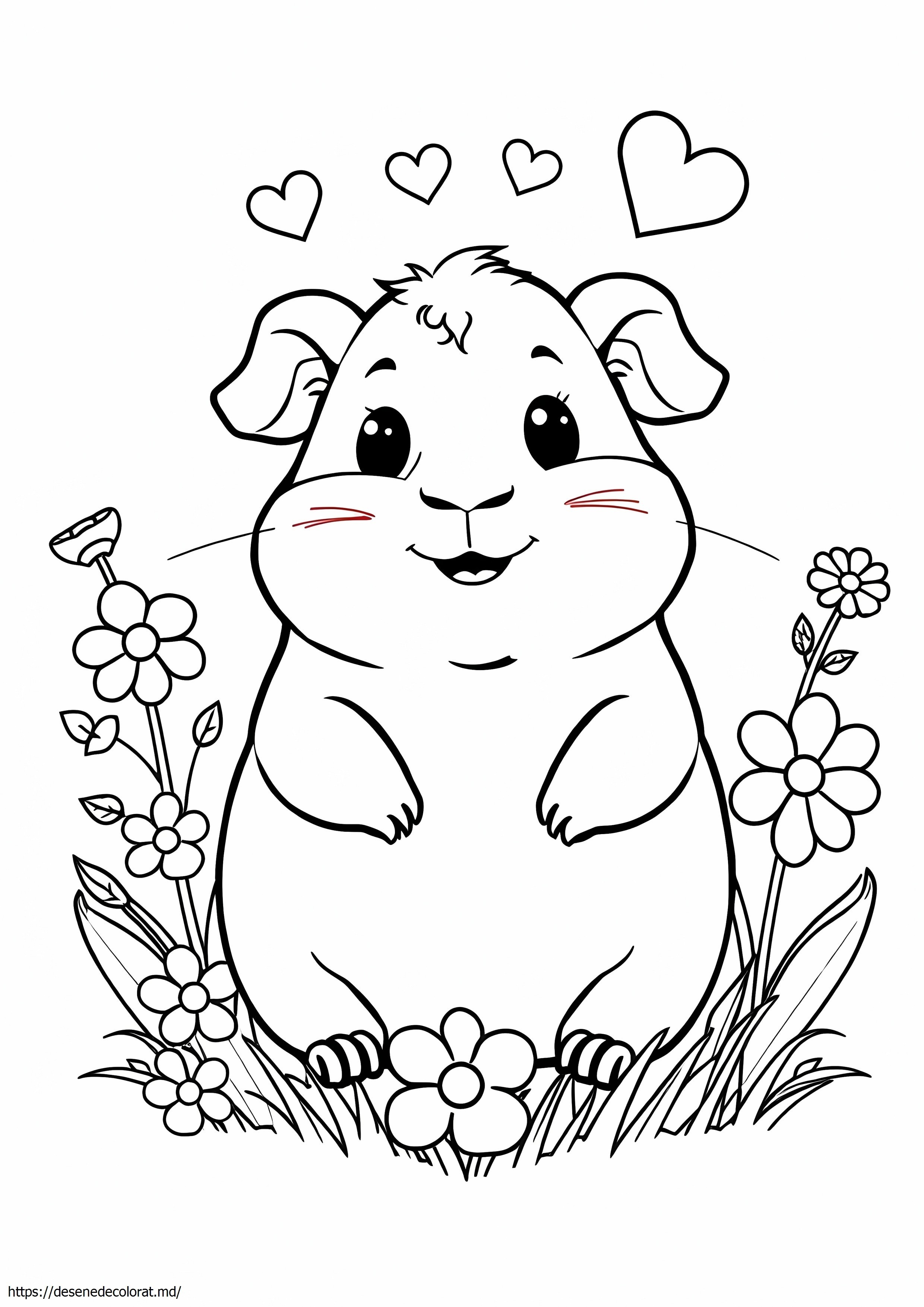 Cobai kawaii