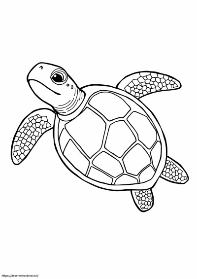 Broască țestoasă de mare piele