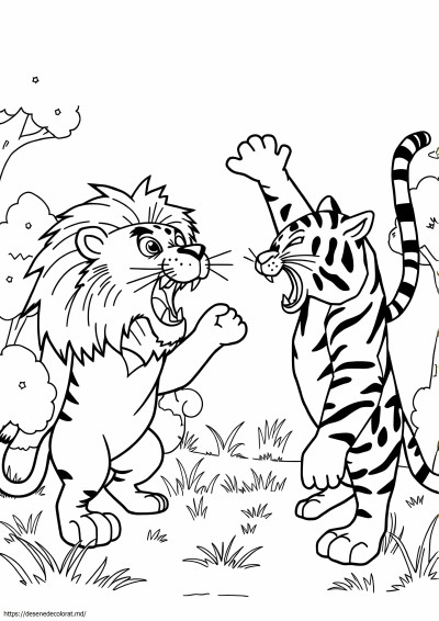 Leu vs tigru