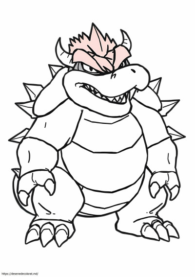 Fury dark bowser