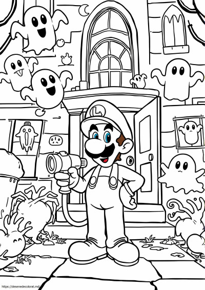 Conacul luigi 3