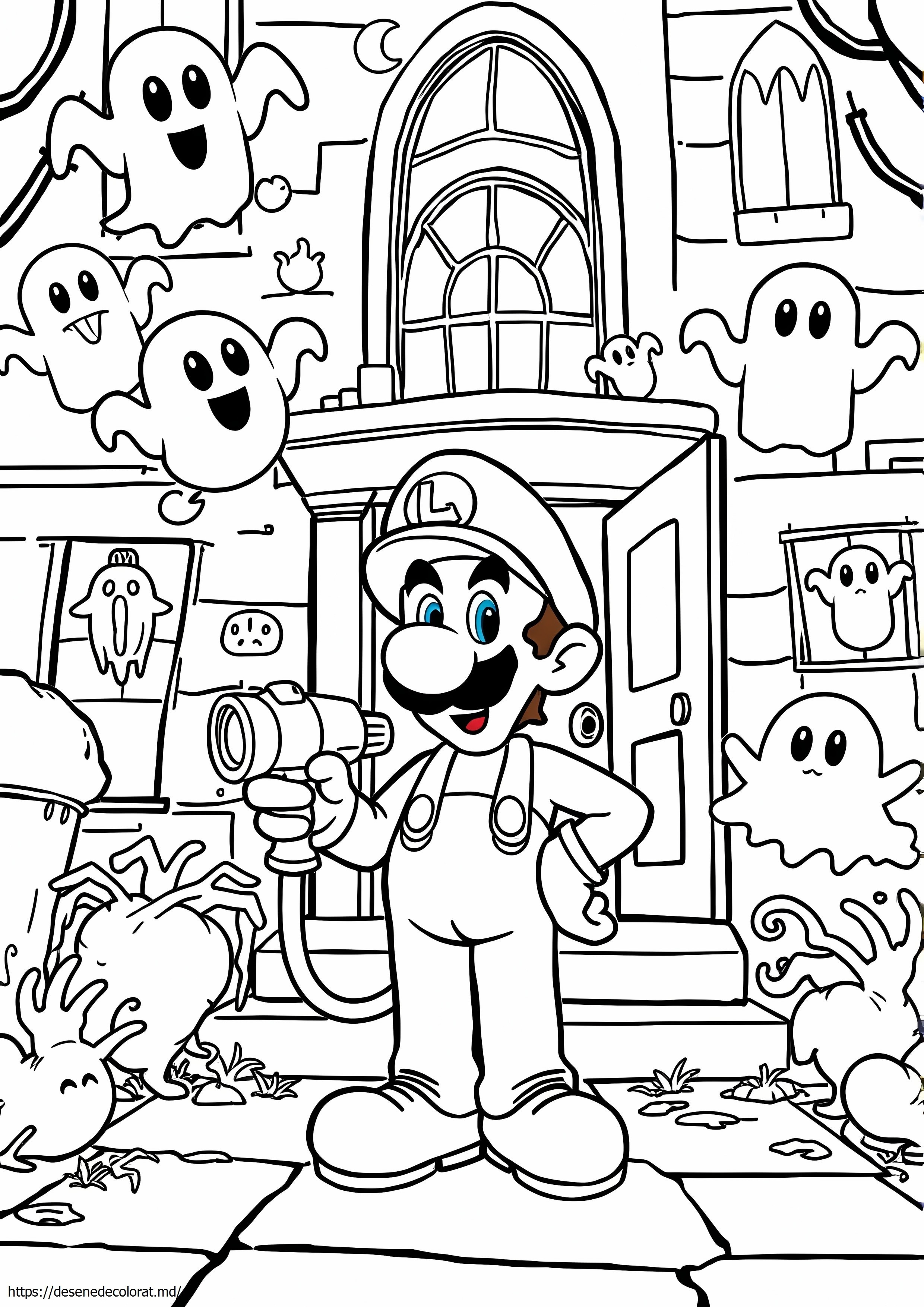 Conacul luigi 3