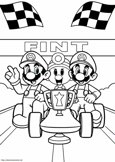 Frații mario tip timid mario kart