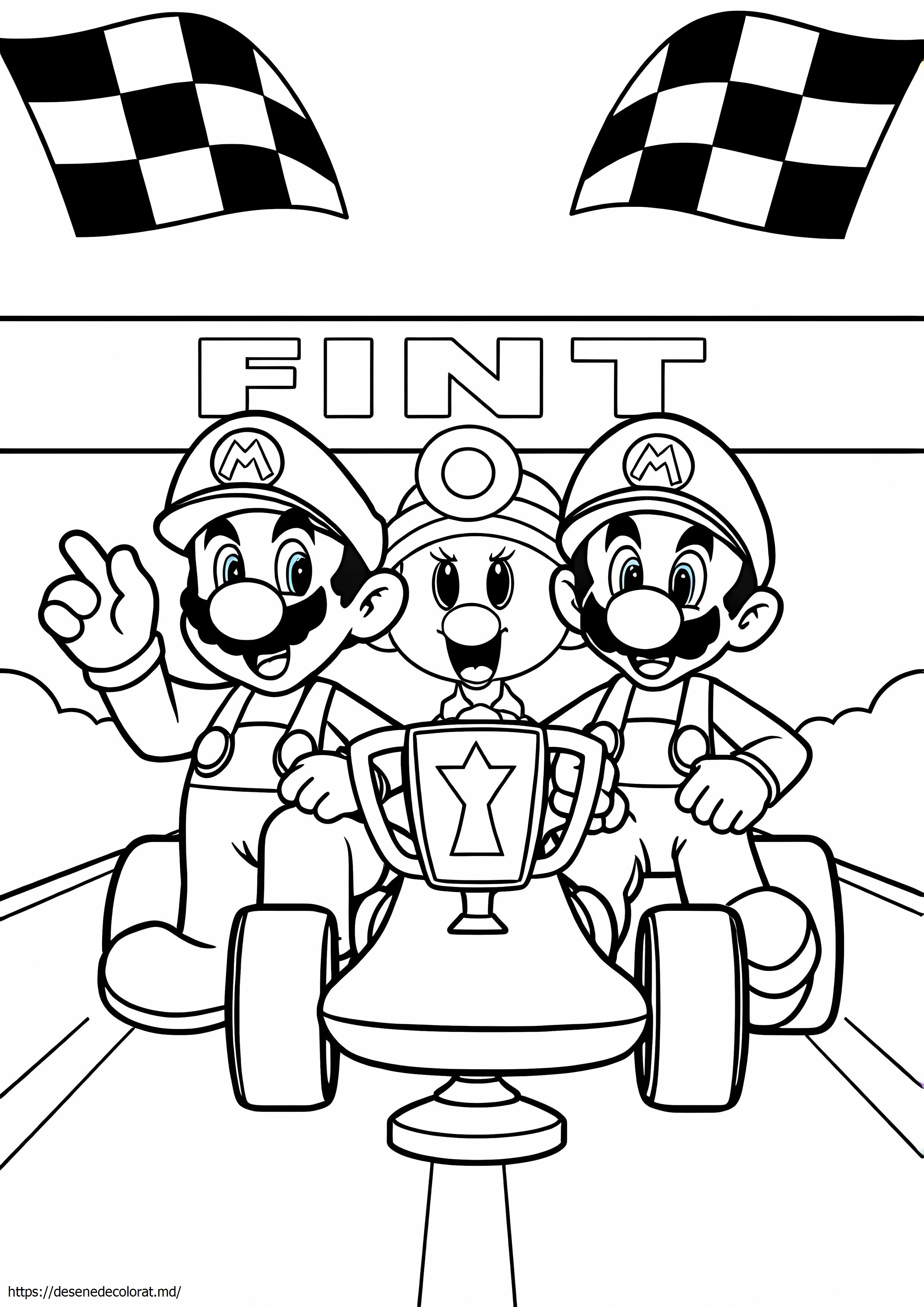 Frații mario tip timid mario kart