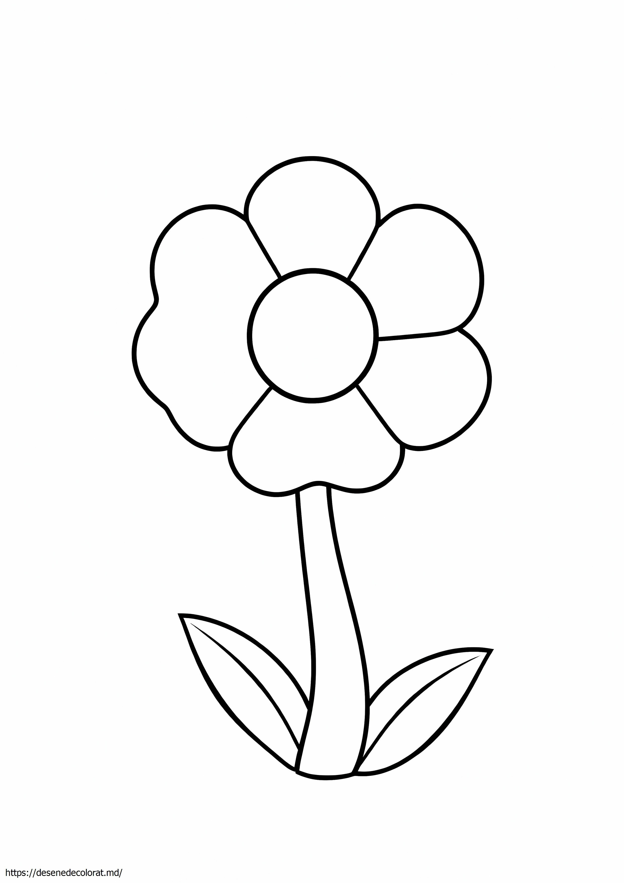Floare mario