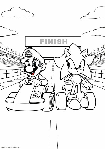 Mario kart mario si sonic