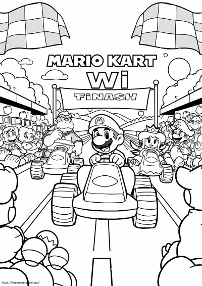 Mario kart wii