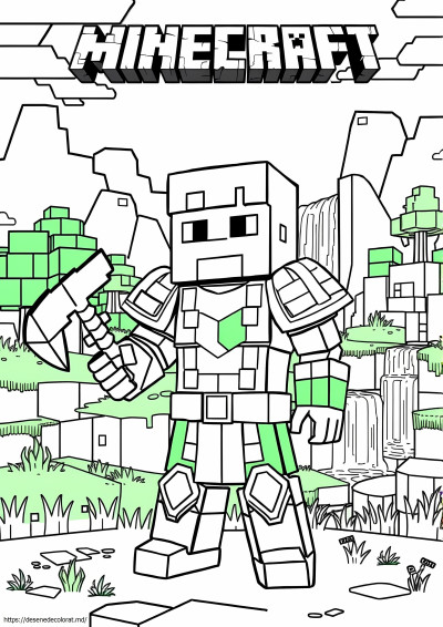 Vis minecraft