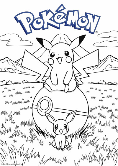 Pokemon unit