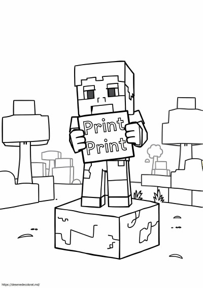 Imprima minecraft