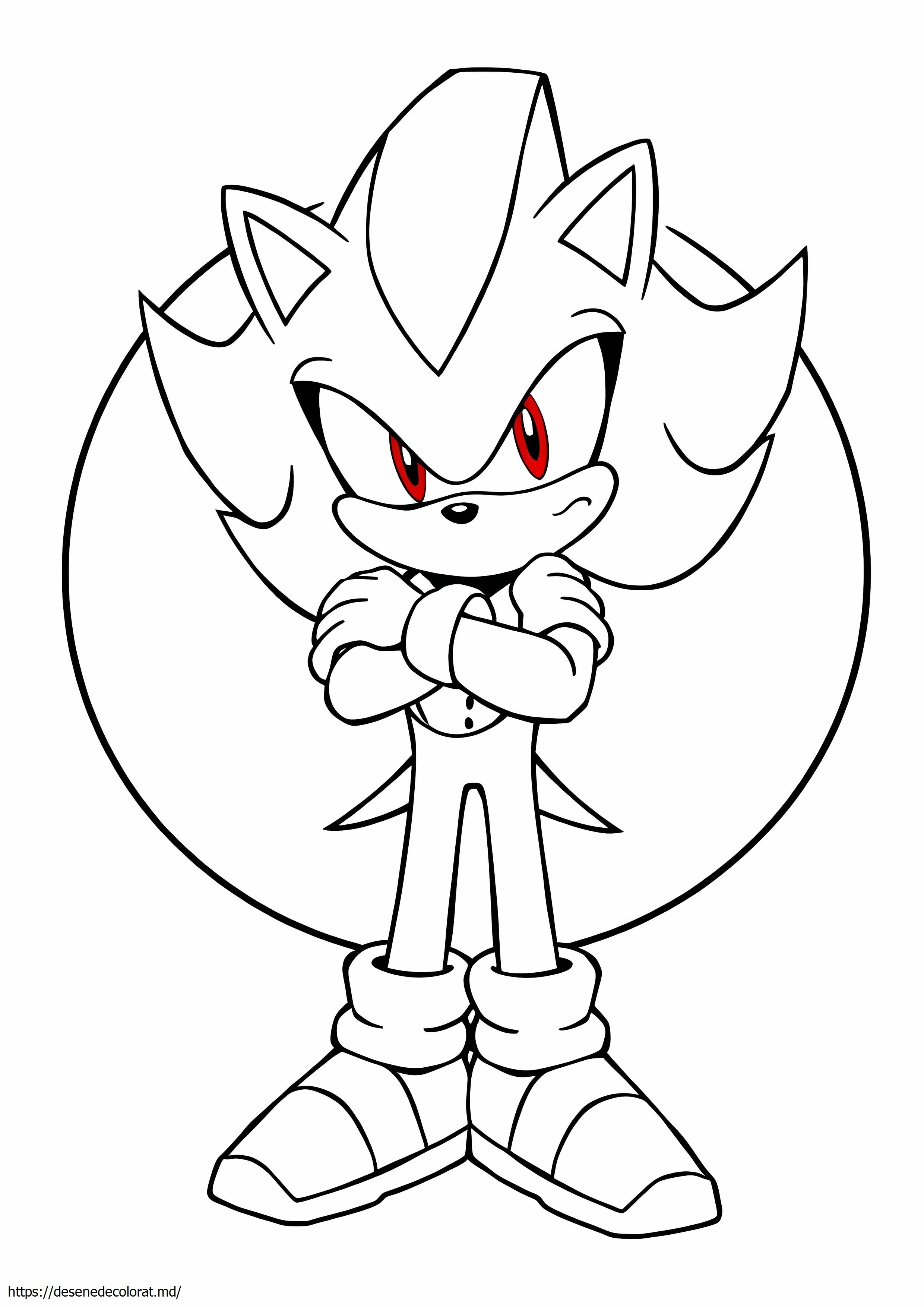 Sonic boom umbra ariciul