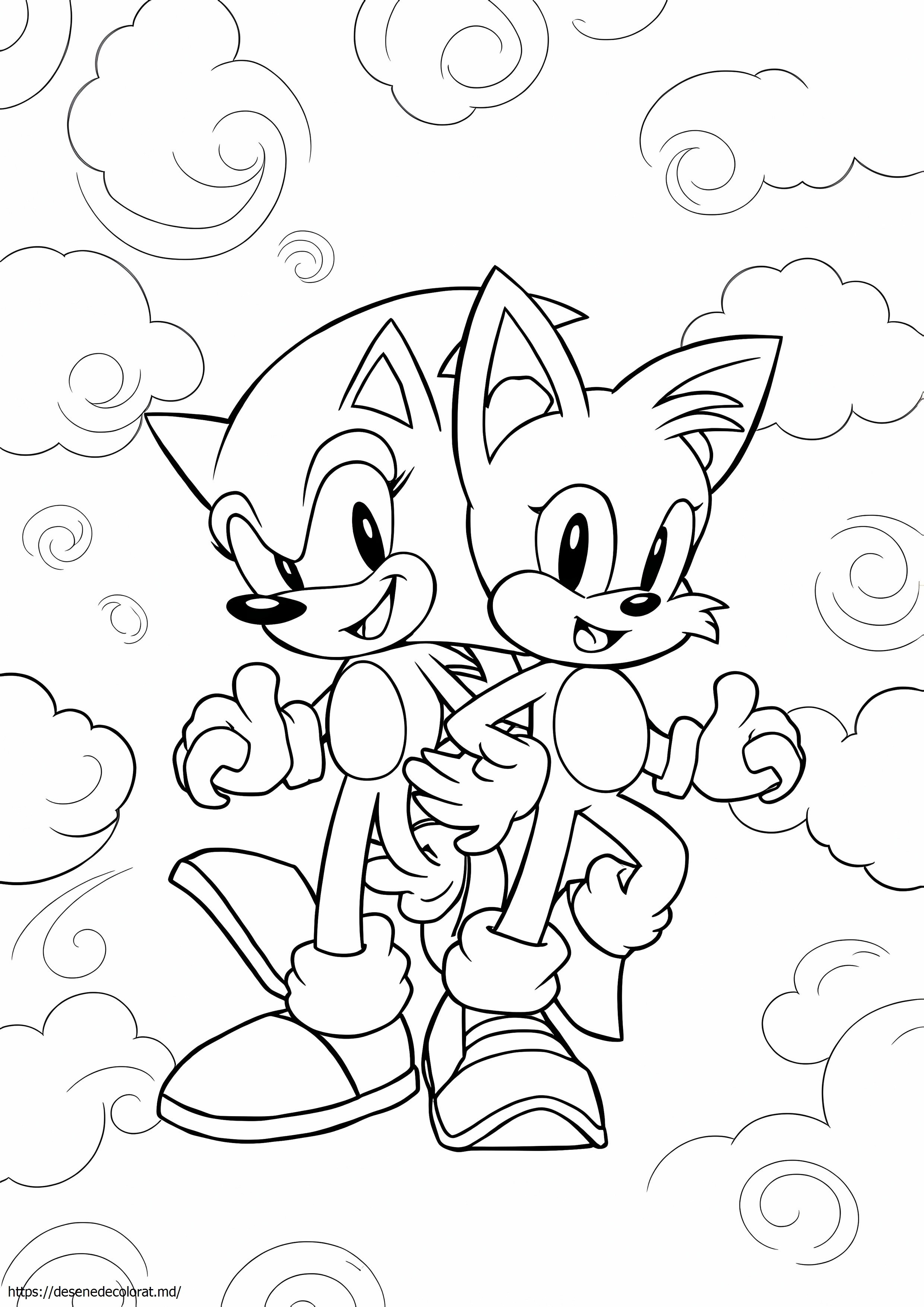 Cozi de boom sonic