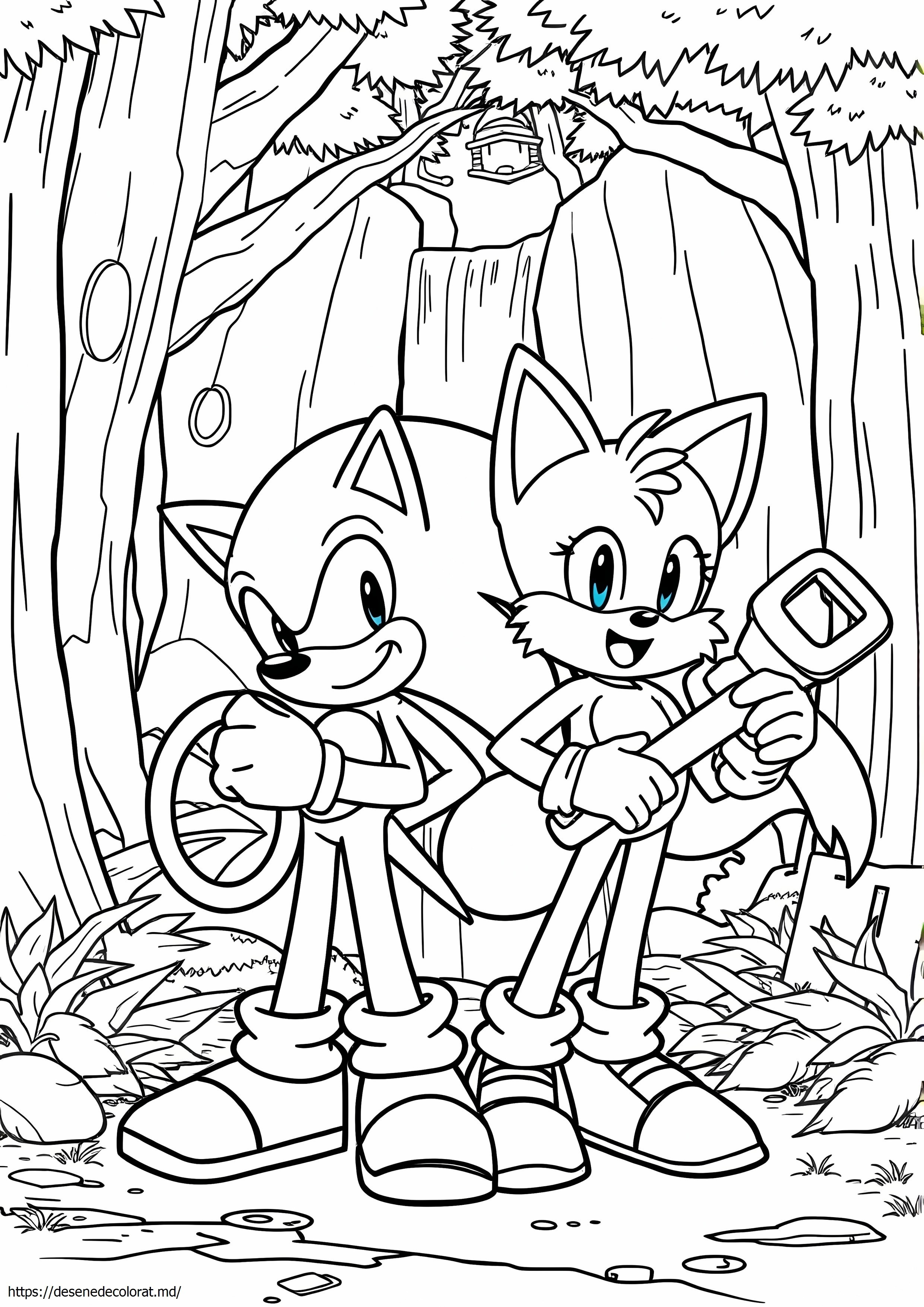Sonic doi