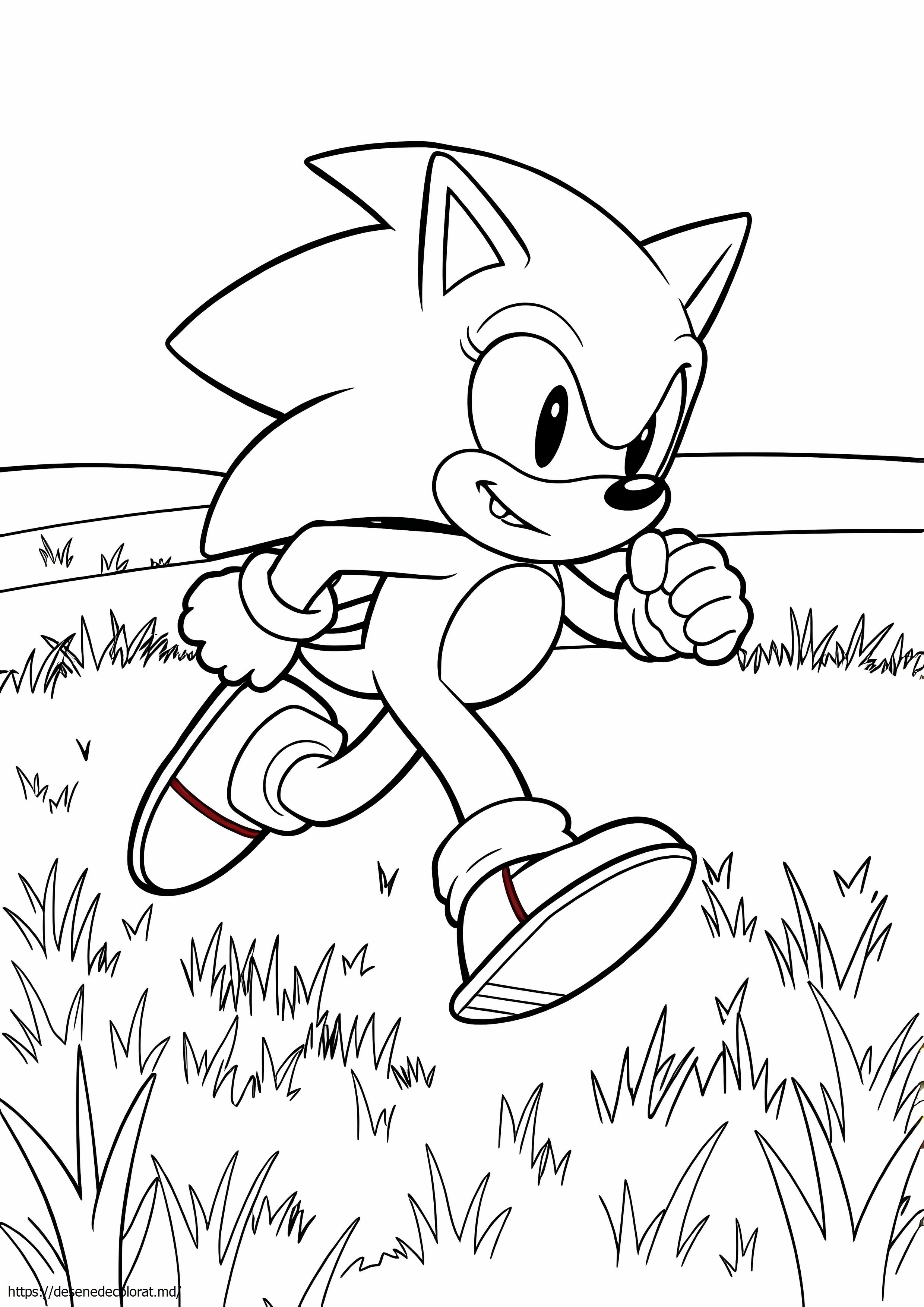 Ariciul sonic alergând