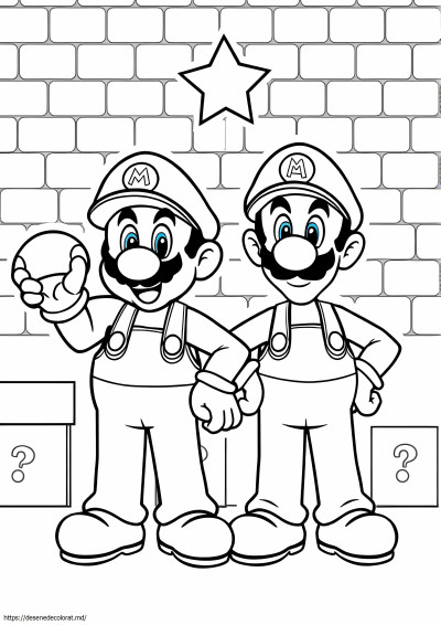 Super mario si luigi