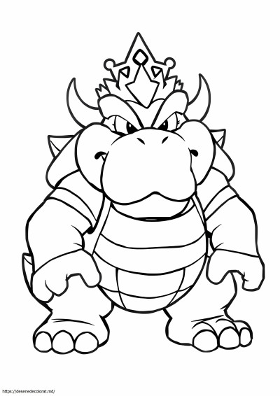 Super mario bowser