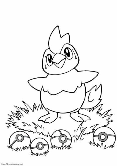 Tapu bulu