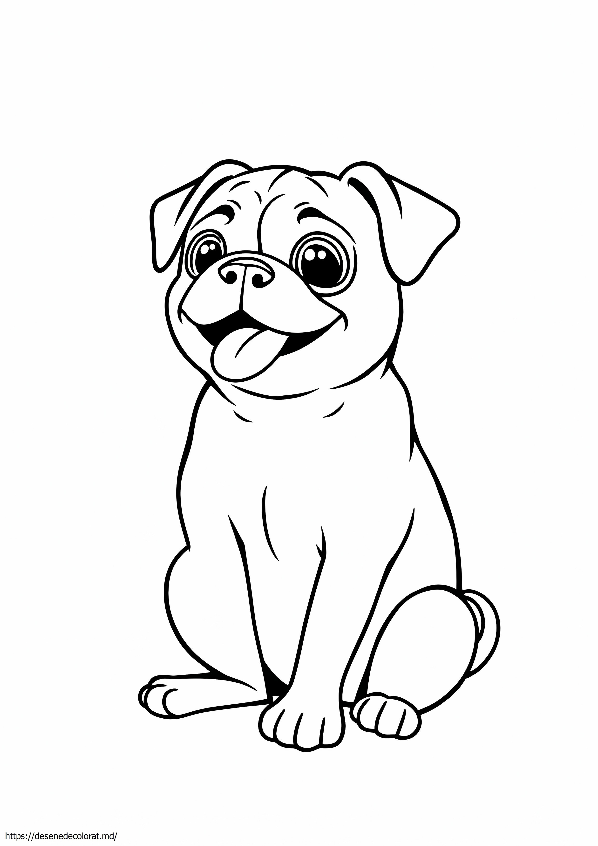 Câine pug
