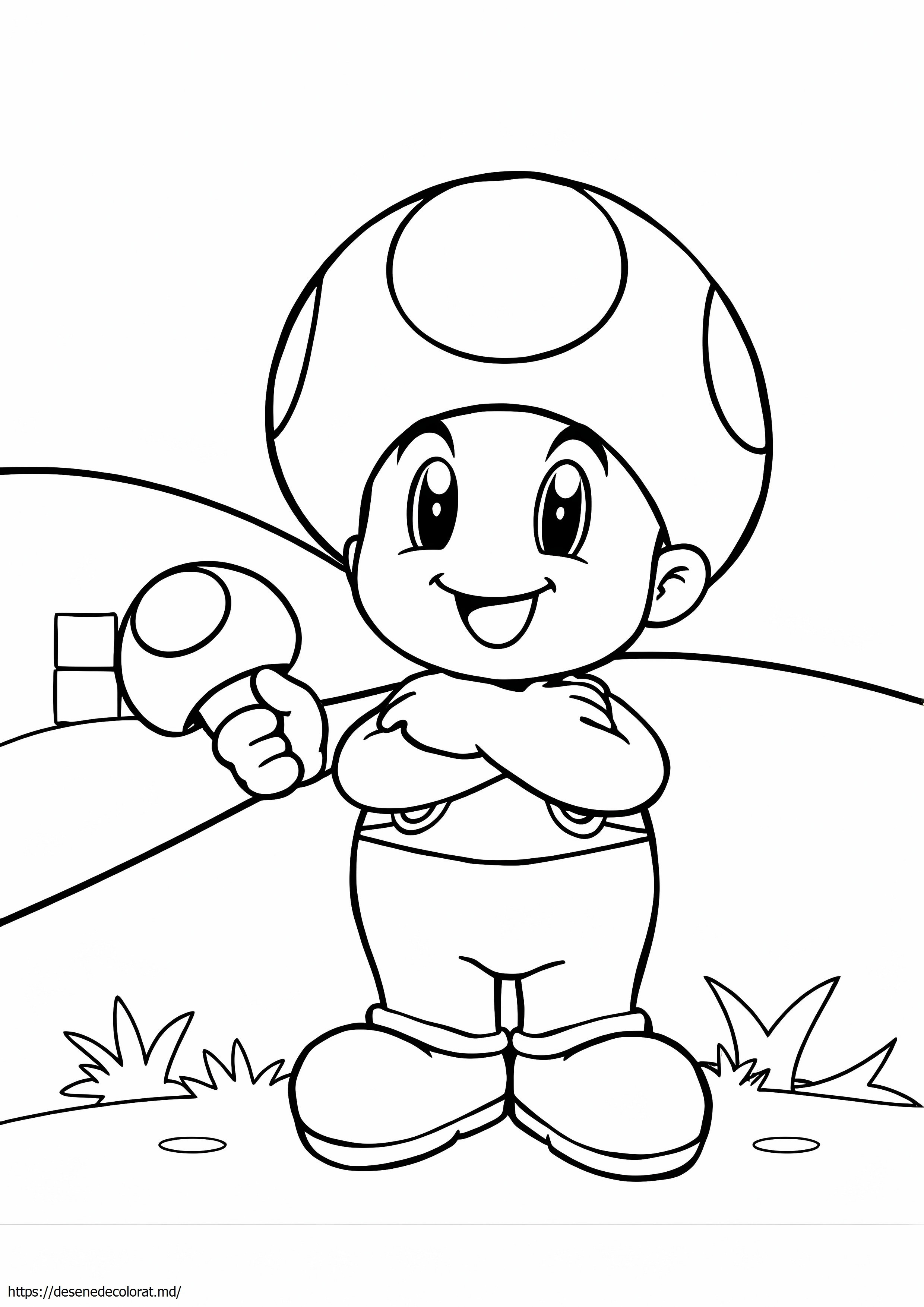 Toad mario