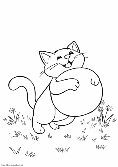 Pushin cat