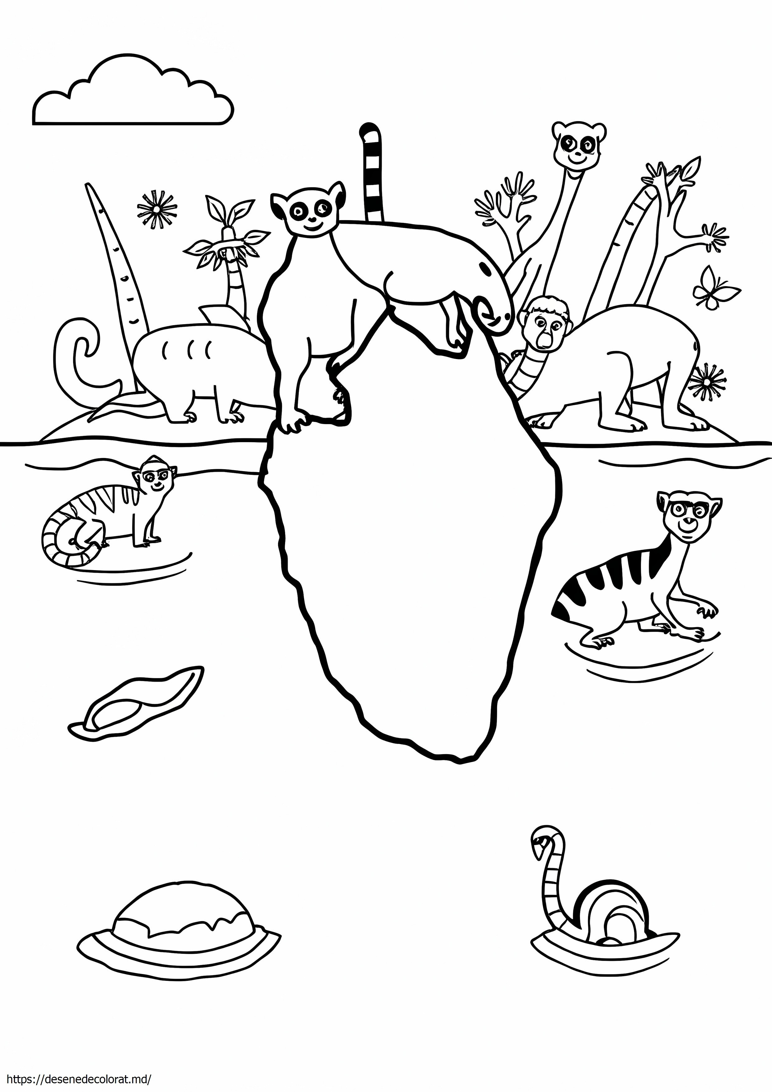 Tara Madagascar
