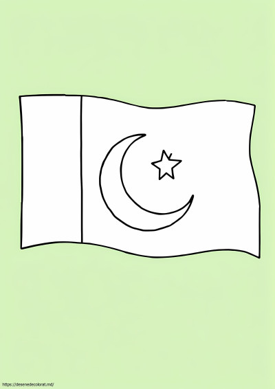 Steag pakistanez