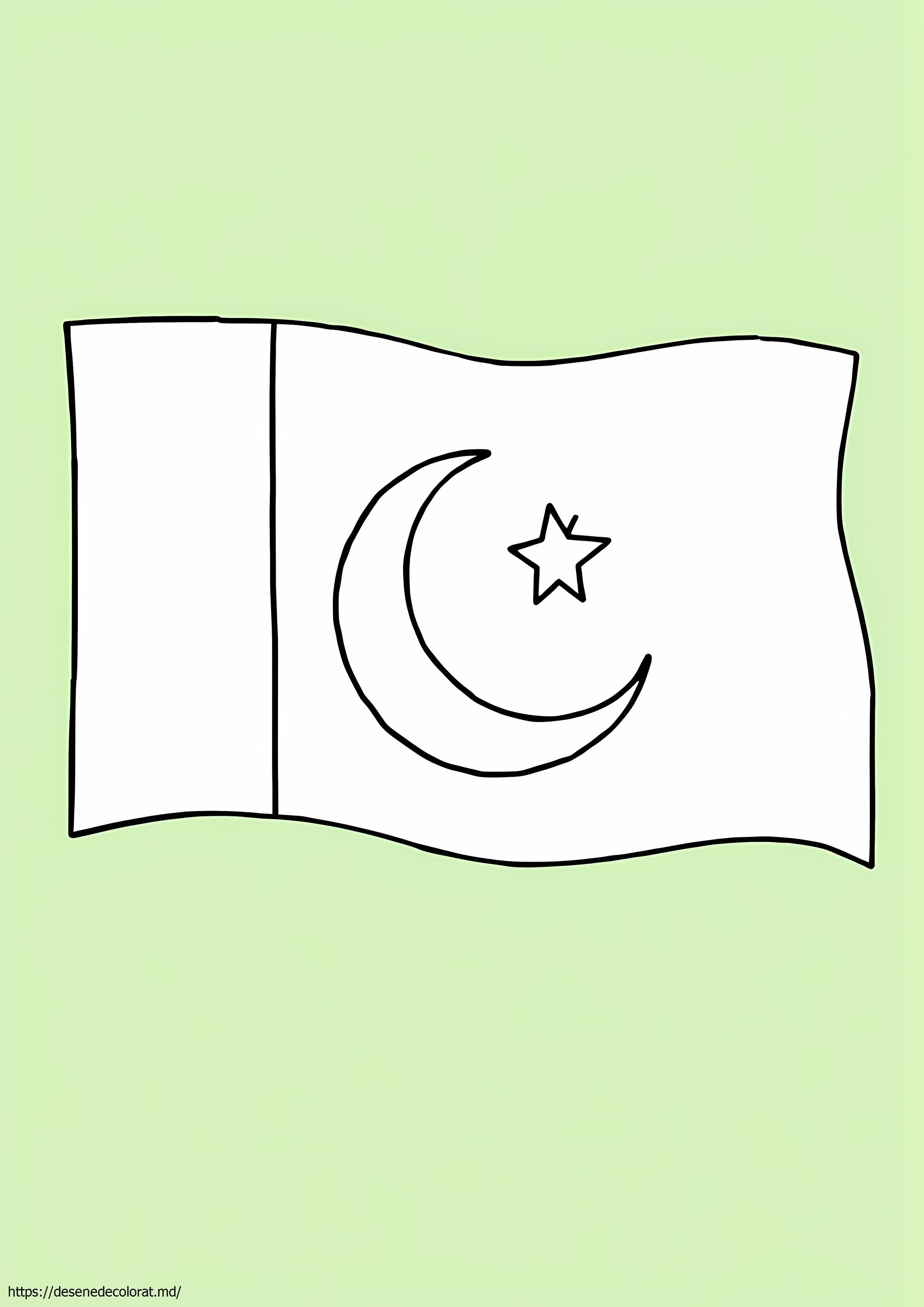 Steag pakistanez