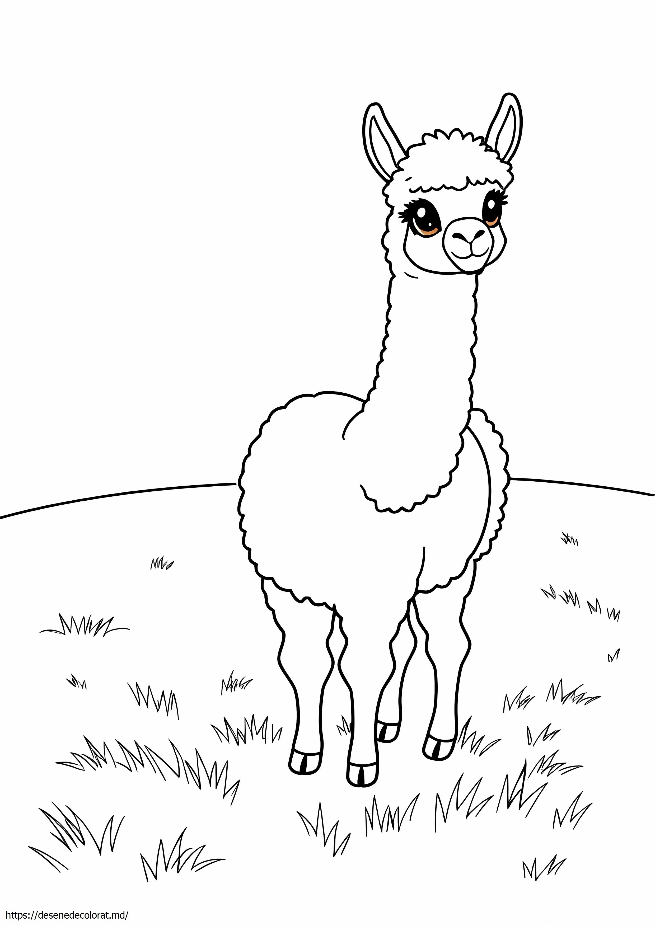 Alpaca realistă