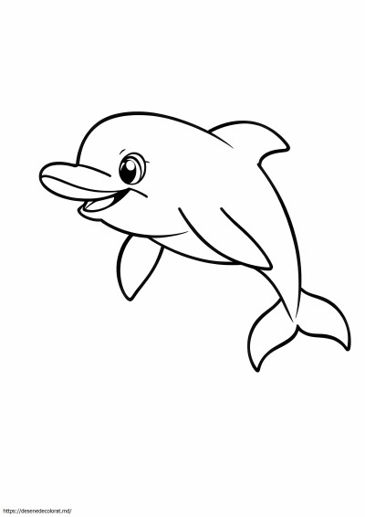 Delfin realist