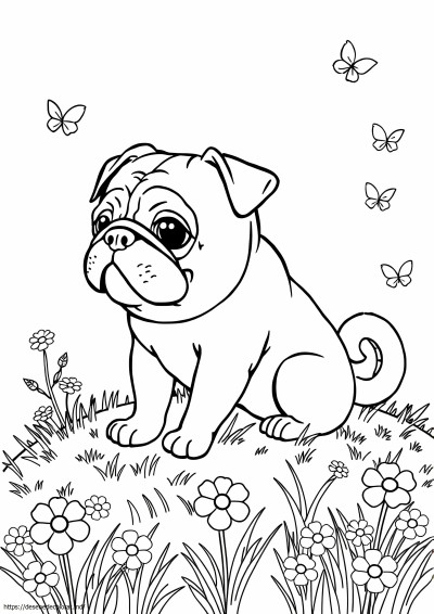 Pug realist