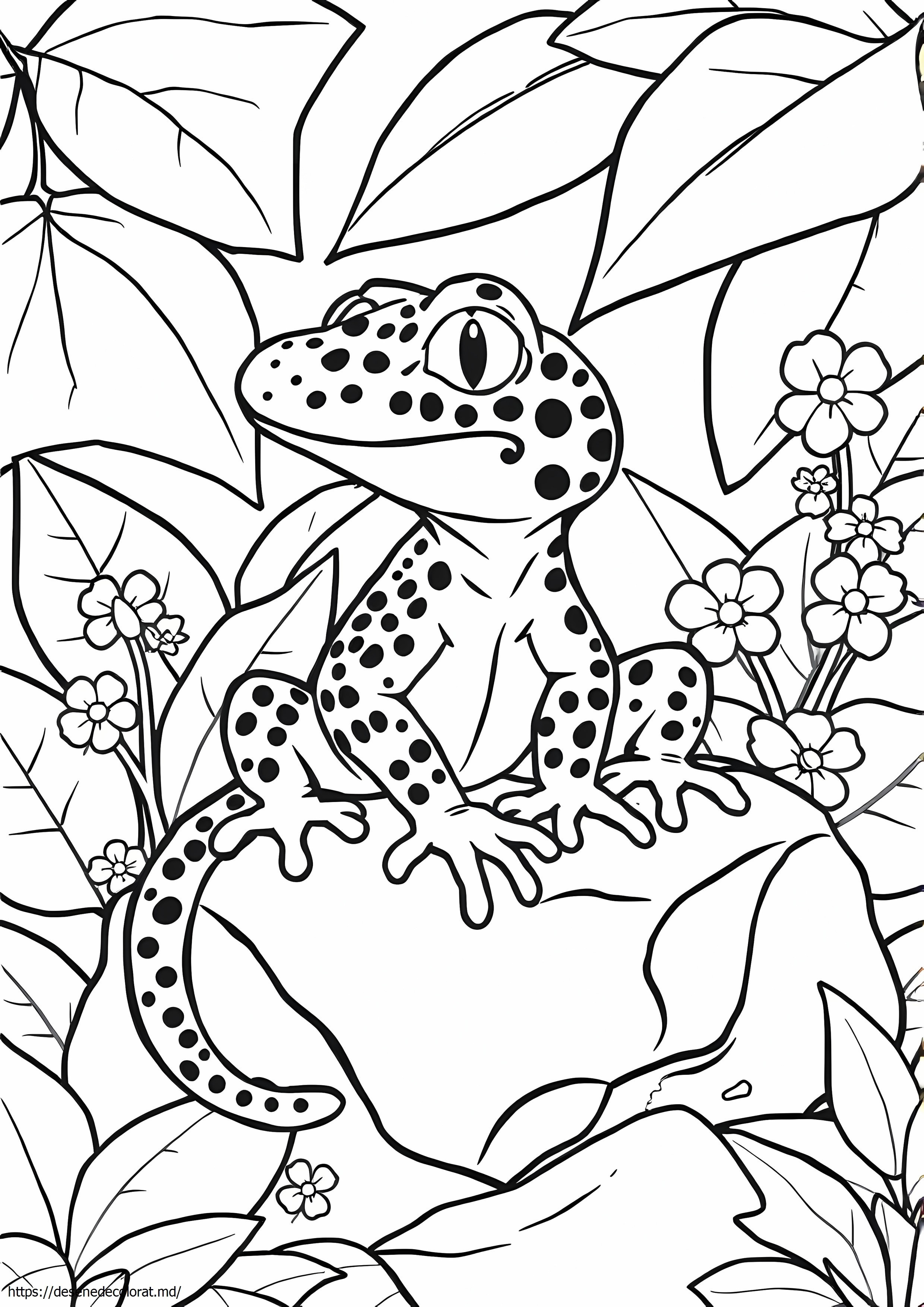 Gecko leopard realist