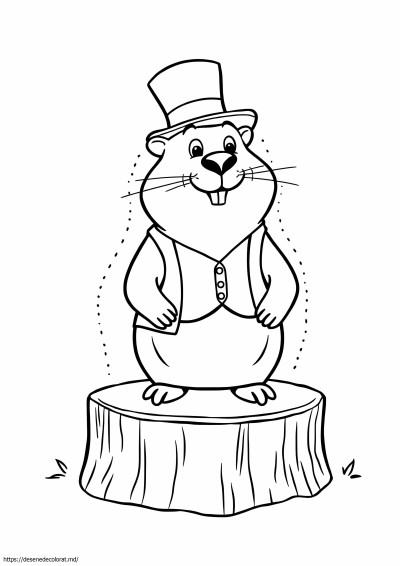 Punxsutawney phil