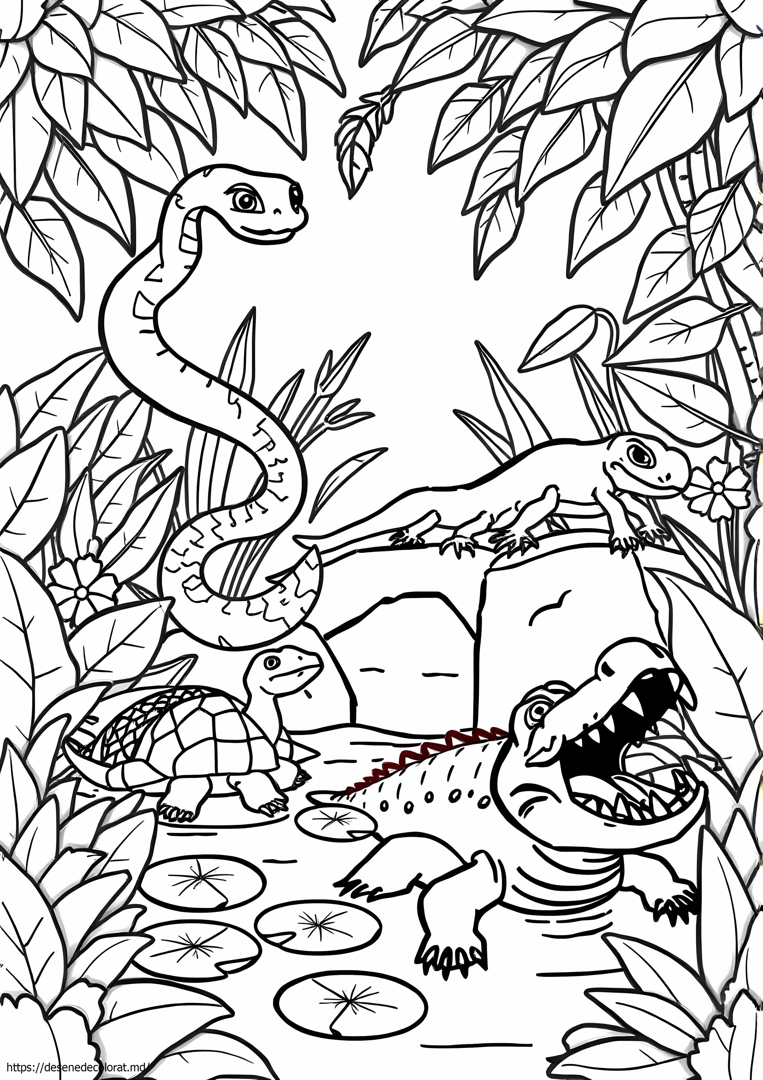 Reptile