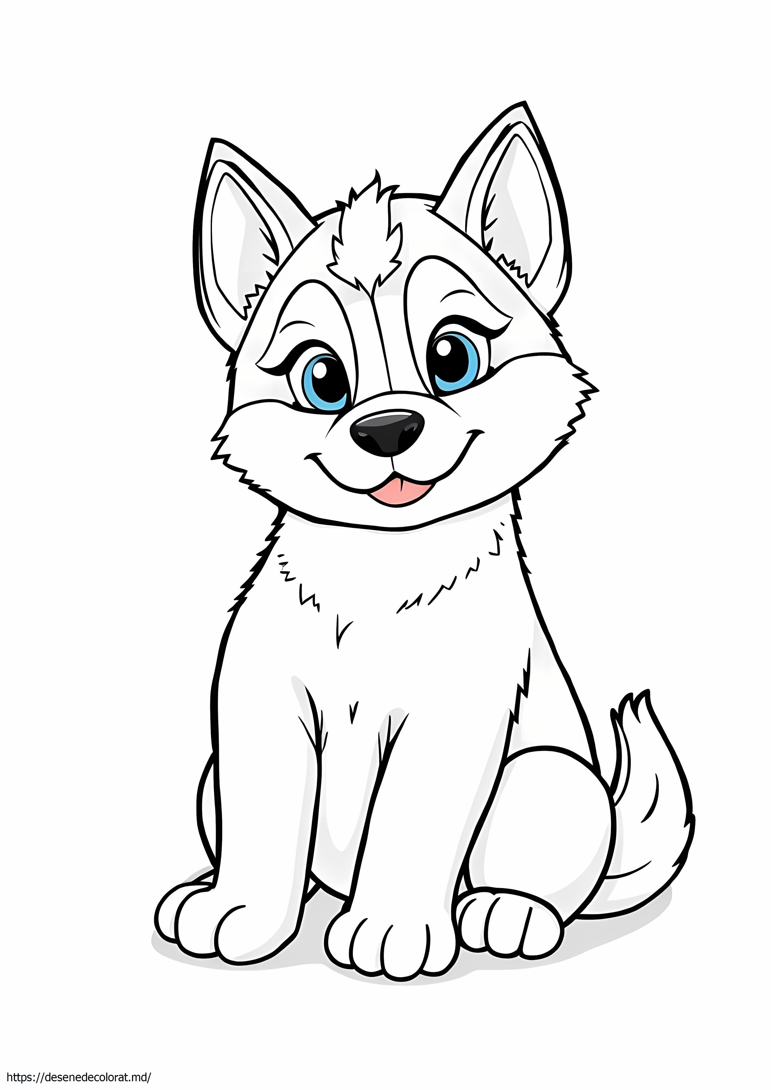 Catelus husky siberian