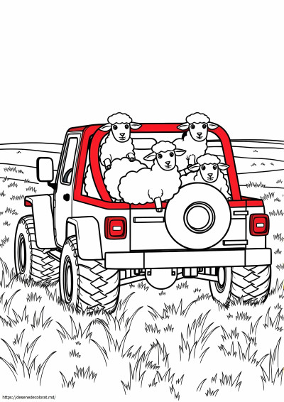 Oaie într-un jeep