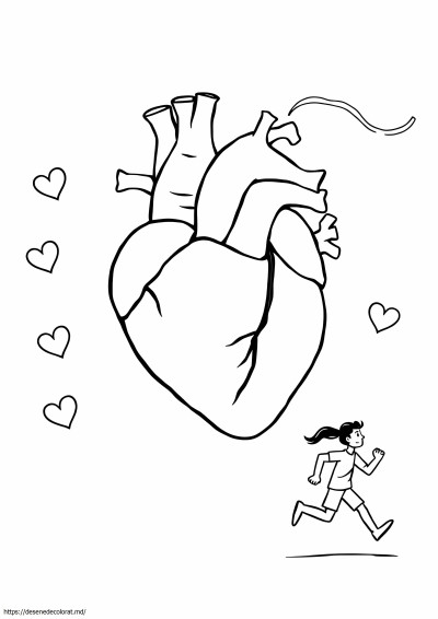 Cardiovascular