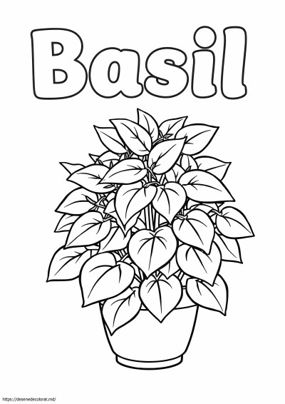 Busuioc