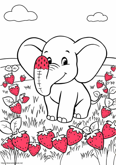Elefant de căpşuni