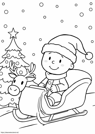 Craciun caillou